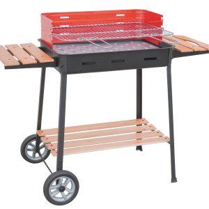 BARBECUE EXCELSIOR cm. 63 x 43 x88 h