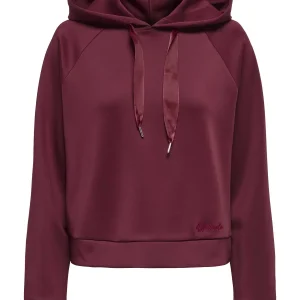 FELPA CON CAPPUCCIO ONLY DA RAGAZZA BORDEAUX