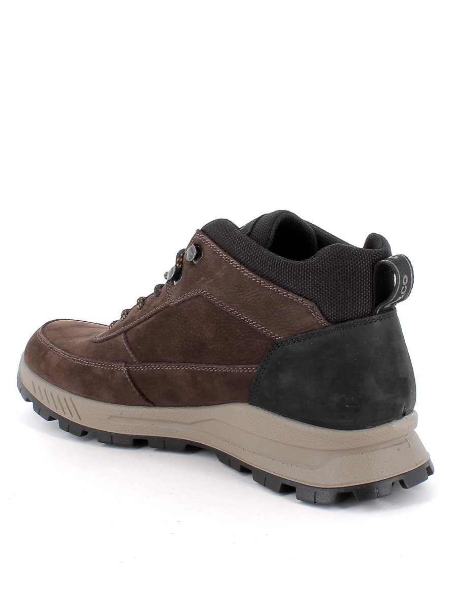 SCARPONCINO ELOY IGI&CO DA UOMO CAFFE' - immagine 4