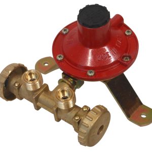 MINICENTRALINA GAS 2 USCITE  portata 4 kg/h