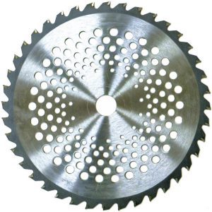 Globex DISCO A 40 DENTI PER DECESPUGLIATORE  ? mm. 255