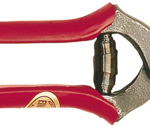 Daprile FORBICI PER FRUTTETO  cm. 21