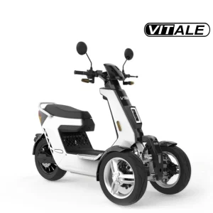 Vitale - V28