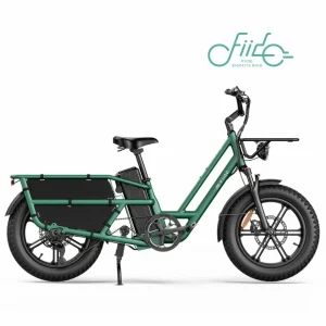 Fiido T2 Cargo bike