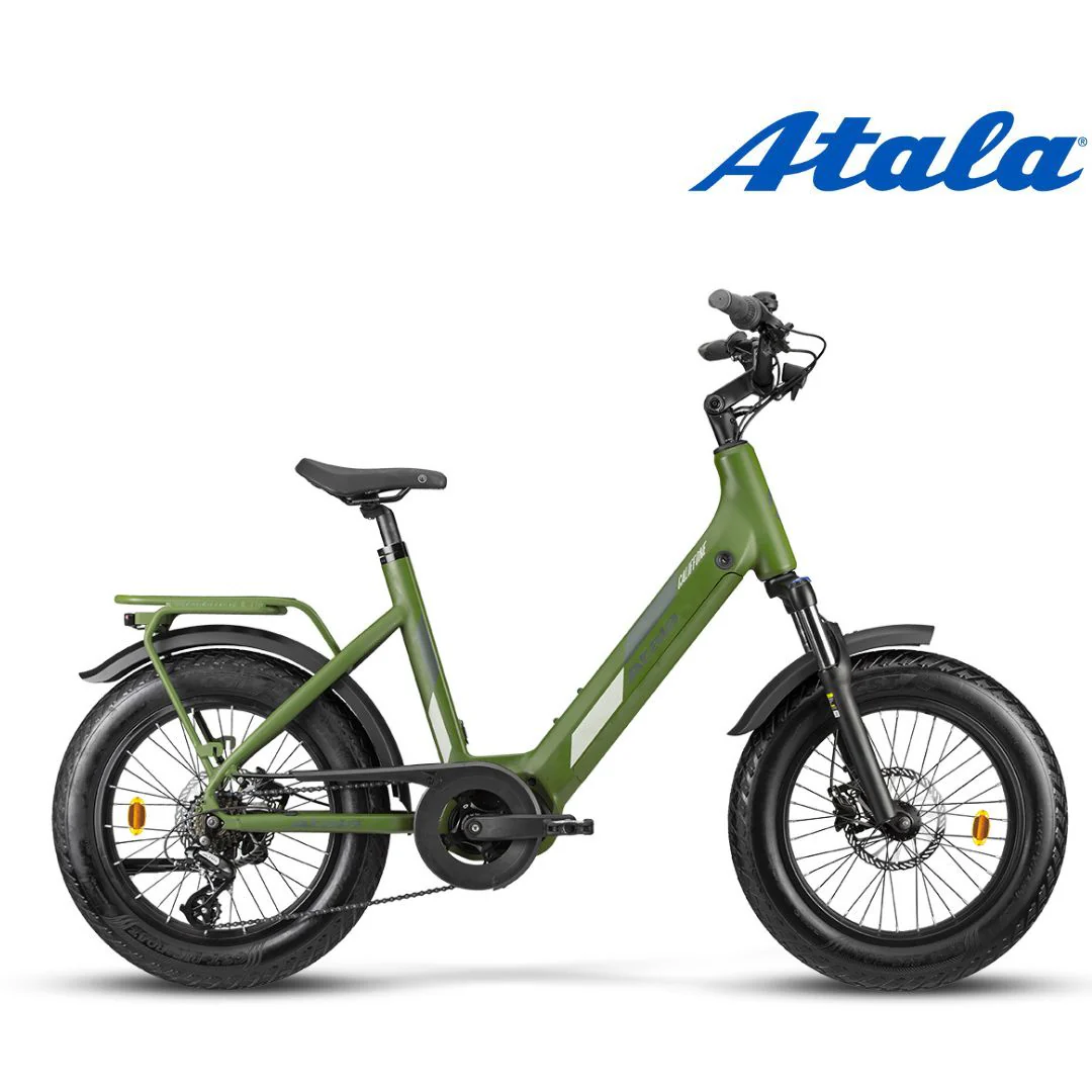 Atala Califfone - immagine 2