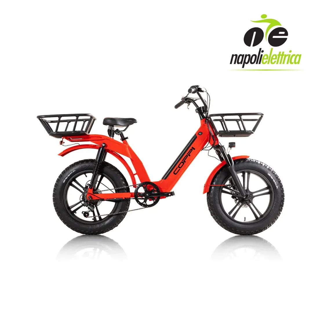 Coppi Lipari Fat Cargo e-bike - immagine 4